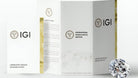 3283055 - Centeralia Plus S.L